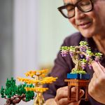 10373-lego-colecao-botanica-mini-arvore-bonsai -4-